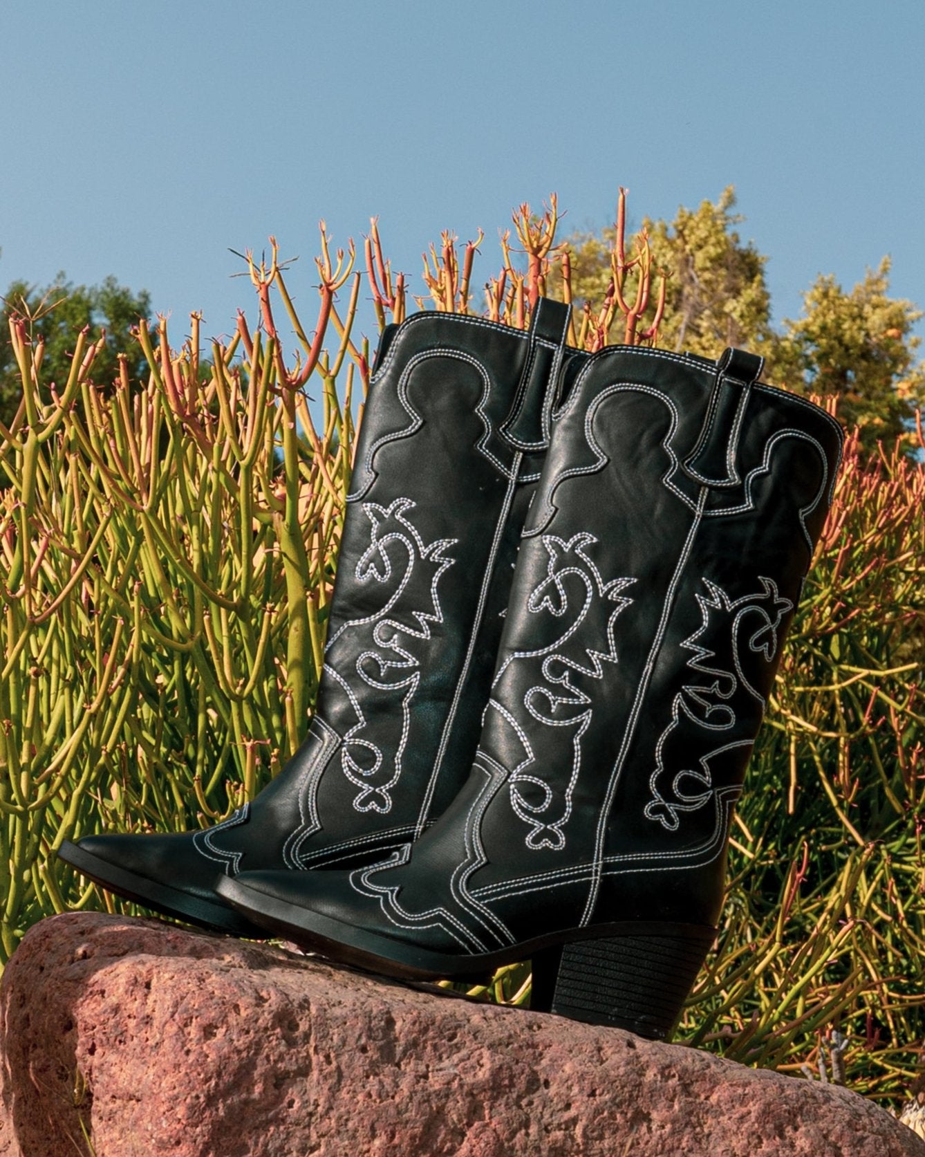 Cowboy Boots in Black